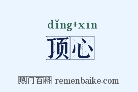 顶心是什么意思的图片